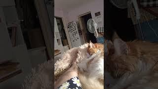 Бесплатное лечение.