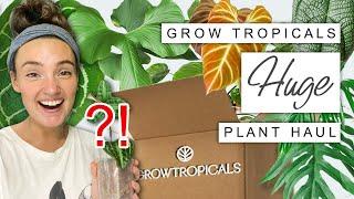 WISHLIST Plant Unboxing  Huge Grow Tropicals Houseplant Haul 2023