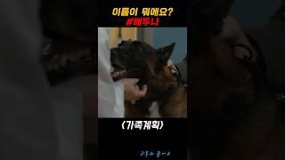 이름이 뭐에요? #가족계획 #배두나