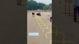 Speed ke exercise #motivation #sports #motivational #100m #trending #army #athlete #workout #shorts