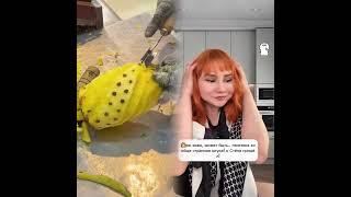«Как я узнал про измену жены» реальная история мужчины с форума. #pov#fyp#foryou
