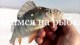 Безнасадочные мормышки ловят на всех водоёмах канала им  Сатпаева!