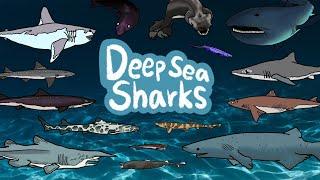 Deep sea sharks | What Kind of Sharks live under the deep ocean? | Kids Draw