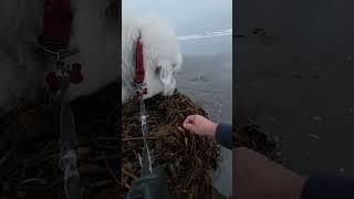 Beach Inspector
