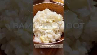 봄 제철채소 Bamboo Shoot