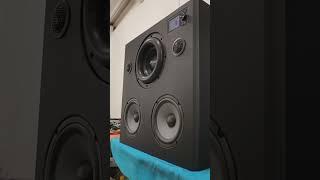 DIY full rang speaker