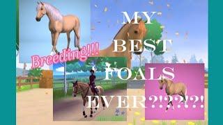 Breeding some of my horses! //equestrian the game// *my best foals ever??!?!?*