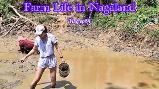 Farm life/ Fishing /Family Time/ Your Naga Cabin Creq