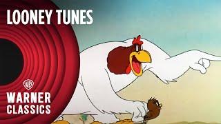 Looney Tunes | Walky Talky Hawky (1946 Full Episode) | Warner Classics