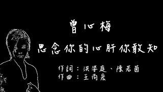 曾心梅  - 思念你的心肝你敢知【歌詞版】