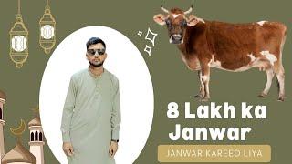 Eid K Liye 8 Lakh Ka Janwar l Janwar Kareed Liya. #eid #eidmubarak #cow