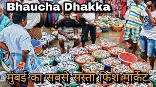 Bhaucha Dhakka मुंबई का सबसे सस्ता Fish Market 2022  Wholesale Fish Market Mumbai | #fishmarket