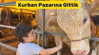 Oğlumla Kurban Pazarında Bir Gün #keşfet #reels #kurban #kurbanbayrami #anne #baba #aile #çocuk