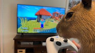 Gort Learns to Play Minecraft (world record capybara speedrun)