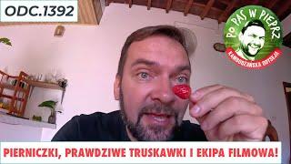 Pierniczki, prawdziwe truskawki i ekipa filmowa! Odc.1392