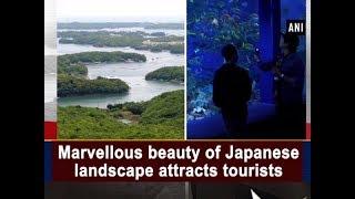 Marvellous beauty of Japanese landscape attracts tourists