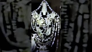 Tirumala Venkateswara Swamy - Original video footage 
