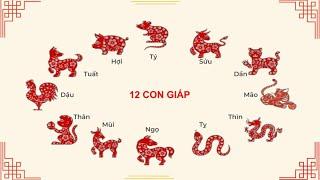 Tử vi 12 con giáp ngày 19/11/2024 #tuvi #tuvihangngay #tuvitrondoi