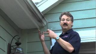 Pest prevention tips part 2 - Rose Pest Solutions