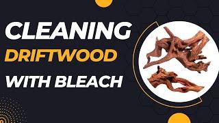 Driftwood Cleaning and Bleaching | Complete Tutorial