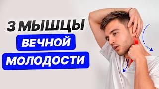 Делай ЭТИ упражнения 1 РАЗ В ДЕНЬ, и ты перестанешь СТАРЕТЬ! / Мышцы вечной молодости