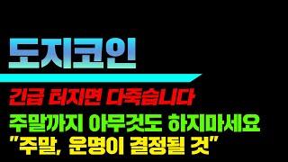 긴급 터지면 다죽습니다. 도지코인 주말까지 아무것도 하지마세요. "주말, 운명이 결정될 것" #도지코인대응전략 #도지대응 # 도지코인시세