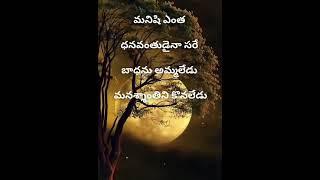 #quotes#motivational