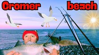 Sea fishing Cromer beach north Norfolk shore angling new spot success multi species day & night