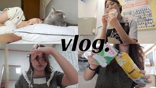 VLOG ㅣ직장인브이로그ㅣ일상브이로그ㅣ광주브이로그ㅣ맥주창고점주ㅣ셀프앞머리자르기ㅣ생크림와플ㅣ죠리퐁ㅣ고양이ㅣ러시안블루집사ㅣ