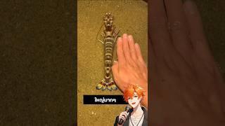 พี่จีนเจอกุ้งยักษ์ตัวเท่าแขน! 