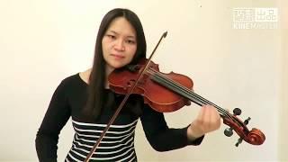 Alessia Cara - How Far I'll Go(Violin Cover)