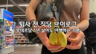 네덜란드도 드디어 여름 | 오랜만에 혼밥 | 드레스 한 달째 찾는 중,, | 친구들이랑 카페 투어 | 장 보기