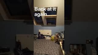 TO BE CONTINUED | BACK AT IT AGAIN.. (VINE)