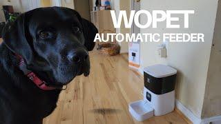 WOPET Dog Feeder | For Cats and Small/Medium Dogs