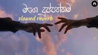 Dan wenas wela slowed reverb/දැන් වෙනස් වෙලා slowed reverb