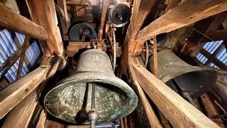 Waldkirch (G -BW) The bells of St. Margarethen church