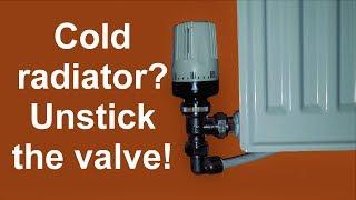 Radiator doesn't heat up.  Unstick the valve!