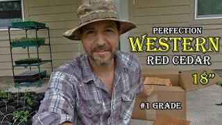 My Western Red Cedar Looks AMAZING | DIY Tiny House Build | South Texas Living