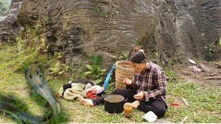 The courage of a 15-year-old single mother protecting her child from a poisonous snake, Lý Tiểu Na