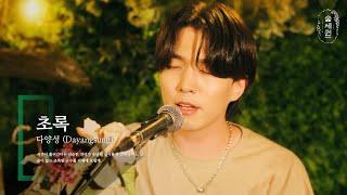 다양성 (Dayangsung) - 초록ㅣ숲세권 라이브ㅣFor:Rest LIVE