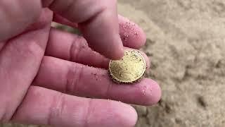 Metal detecting at a small beach with Minelab Manticore
