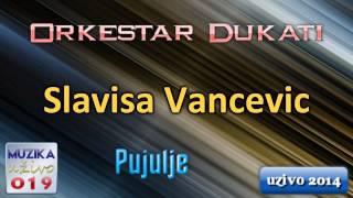 Slavisa Vancevic UZIVO - Pujulje pujulje // MuzikaUzivo019