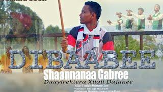 DIBAABEE___Shaannanaa_Gabree___New_Oromo_Music_Official_Video__2024