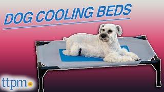 Puppies Review Dog Cooling Beds! *ADORABLE* | TTPM Pet Reviews