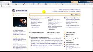 Основы КонсультантПлюс - Документ? На контроль его! (Георгий)