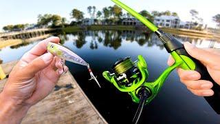 I've NEVER Seen This Many Fish!!! (Bank Fishing)