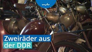 Simson, MZ und Co: Der Schwalbensammler von Dessau | MDR um 4 | MDR