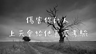 理科塔羅。傷害過你的人，上天會給他甚麼考驗？(CC字幕)【誠實豆沙包Alert!!】Timeless.