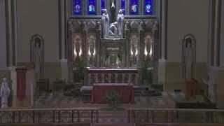 Saturday, April 12 - 5:00 SJ - Palm Sunday - Father Wayne Watts