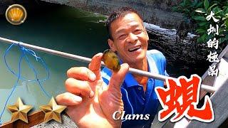 Game Episode 1 | Wild Clam | Dazhen Catch Lazi | Cyrenidae | Pinger